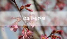 音乐节奏教案