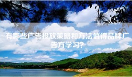 有哪些广告投放策略和方法值得品牌广告方学习？