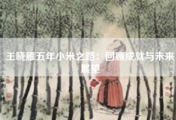 王晓雁五年小米之路：回顾成就与未来展望