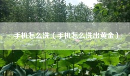 手机怎么洗（手机怎么洗出黄金）