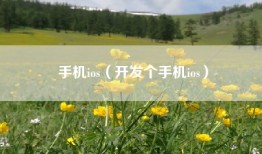 手机ios（开发个手机ios）