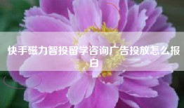 快手磁力智投留学咨询广告投放怎么报白