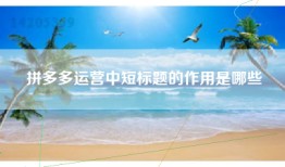 拼多多运营中短标题的作用是哪些
