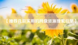 【推荐几款实用的网盘资源搜索引擎】