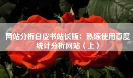 网站分析白皮书站长版：熟练使用百度统计分析网站（上）