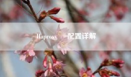 Haproxy     配置详解