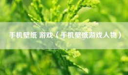 手机壁纸 游戏（手机壁纸游戏人物）