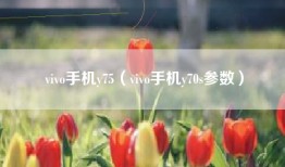 vivo手机y75（vivo手机y70s参数）