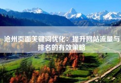 沧州页面关键词优化：提升网站流量与排名的有效策略