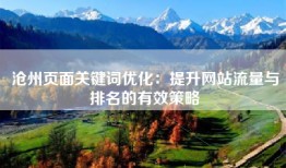 沧州页面关键词优化：提升网站流量与排名的有效策略