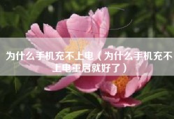 为什么手机充不上电（为什么手机充不上电重启就好了）