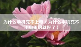 为什么手机充不上电（为什么手机充不上电重启就好了）