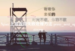 Nginx 上游返回失败处理方法 proxy_next_upstream