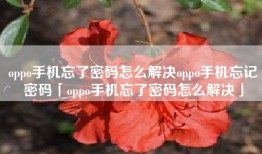 oppo手机忘了密码怎么解决oppo手机忘记密码「oppo手机忘了密码怎么解决」