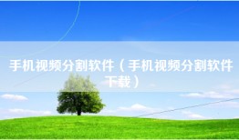 手机视频分割软件（手机视频分割软件下载）