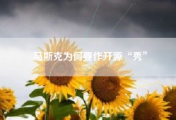 马斯克为何要作开源“秀”
