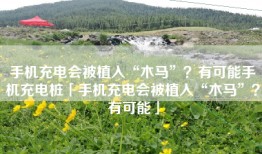 手机充电会被植入“木马”？有可能手机充电桩「手机充电会被植入“木马”？有可能」