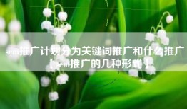sem推广计划分为关键词推广和什么推广【sem推广的几种形式】