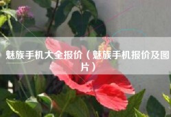 魅族手机大全报价（魅族手机报价及图片）