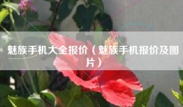 魅族手机大全报价（魅族手机报价及图片）
