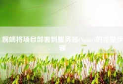 前端将项目部署到服务器(Nginx)的完整步骤