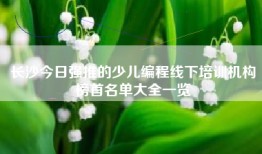 长沙今日强推的少儿编程线下培训机构榜首名单大全一览