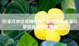 石家庄微信视频号推广运营中心,石家庄微信视频号代理商