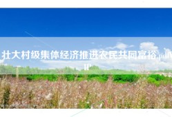壮大村级集体经济推进农民共同富裕.pdfVIP