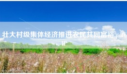 壮大村级集体经济推进农民共同富裕.pdfVIP
