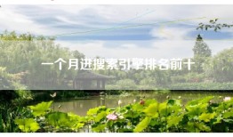 一个月进搜索引擎排名前十
