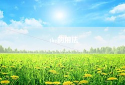 the的用法