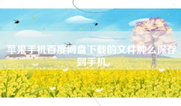 苹果手机百度网盘下载的文件肿么保存到手机