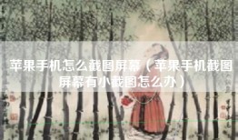 苹果手机怎么截图屏幕（苹果手机截图屏幕有小截图怎么办）