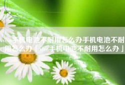 vivo手机电池不耐用怎么办手机电池不耐用怎么办「vivo手机电池不耐用怎么办」
