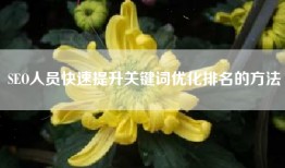 SEO人员快速提升关键词优化排名的方法