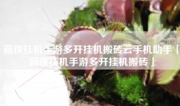 萌侠挂机手游多开挂机搬砖云手机助手「萌侠挂机手游多开挂机搬砖」