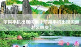 苹果手机出现闪退（苹果手机出现闪退怎么解决）