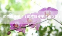 印度智能手机（印度智能手机出货量）