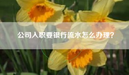 公司入职要银行流水怎么办理？