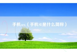 手机sex（手机SE是什么简称）