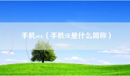 手机sex（手机SE是什么简称）