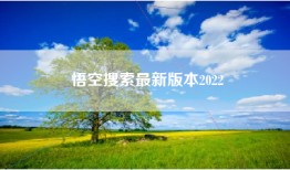 悟空搜索最新版本2022