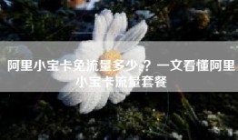 阿里小宝卡免流量多少g？一文看懂阿里小宝卡流量套餐