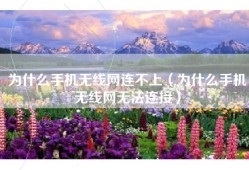 为什么手机无线网连不上（为什么手机无线网无法连接）