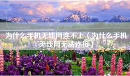 为什么手机无线网连不上（为什么手机无线网无法连接）