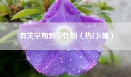 有关学期教学计划（热门6篇）