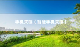 手机失明（智能手机失明）