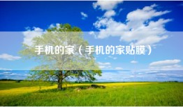 手机的家（手机的家贴膜）