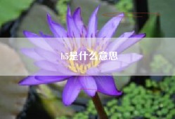 h5是什么意思