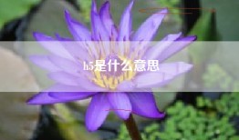 h5是什么意思